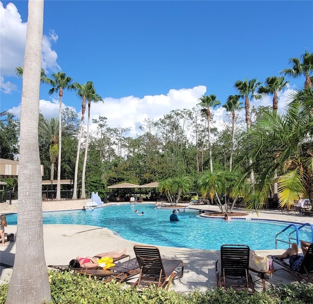 4116 Knollpoint Dr, Wesley Chapel, FL 33544 - community pool with view of wooded area