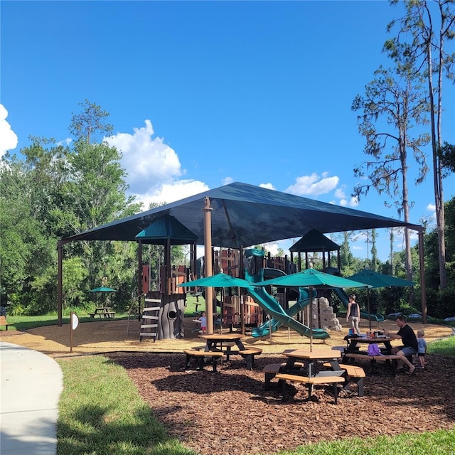 4116 Knollpoint Dr, Wesley Chapel, FL 33544 - view of community play area