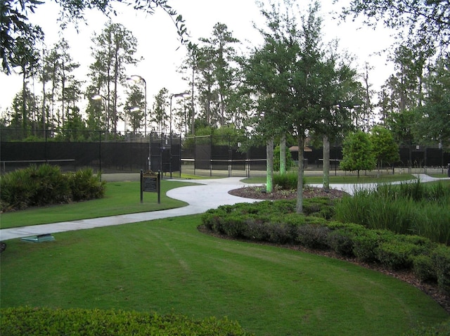 4116 Knollpoint Dr, Wesley Chapel, FL 33544 - surrounding community