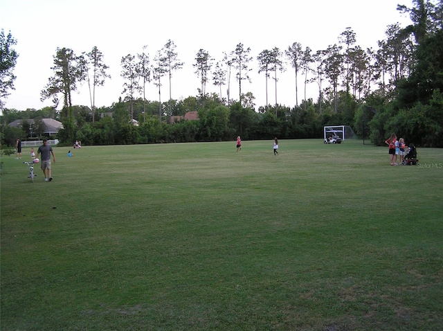 4116 Knollpoint Dr, Wesley Chapel, FL 33544 - view of home's community featuring a sport area