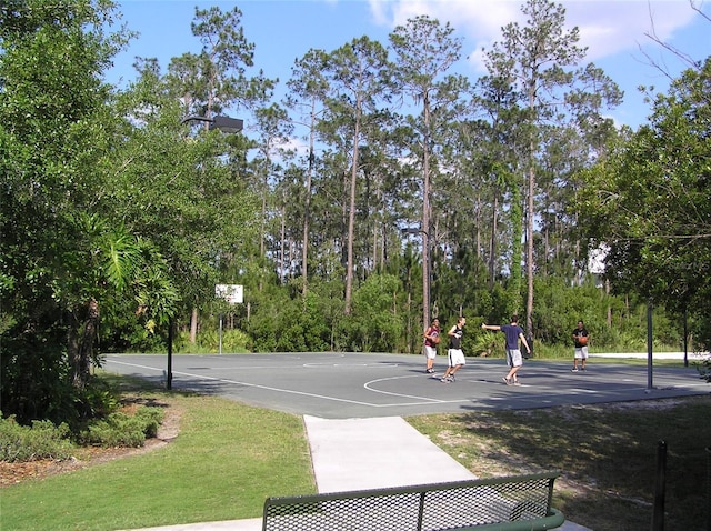 4116 Knollpoint Dr, Wesley Chapel, FL 33544 - view of basketball court with community basketball court