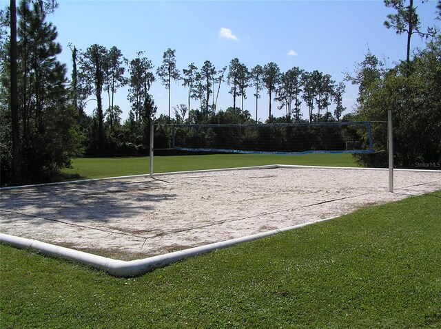 4116 Knollpoint Dr, Wesley Chapel, FL 33544 - view of property's community featuring volleyball court and a lawn
