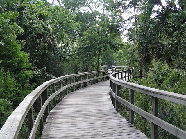 4116 Knollpoint Dr, Wesley Chapel, FL 33544 - view of property's community featuring a forest view