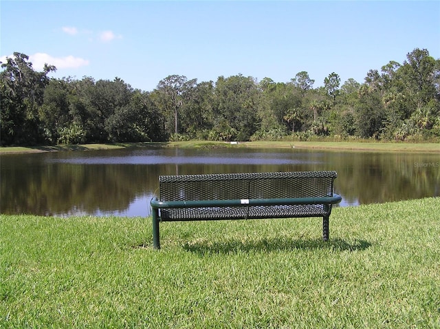 4116 Knollpoint Dr, Wesley Chapel, FL 33544 - water view featuring a heavily wooded area
