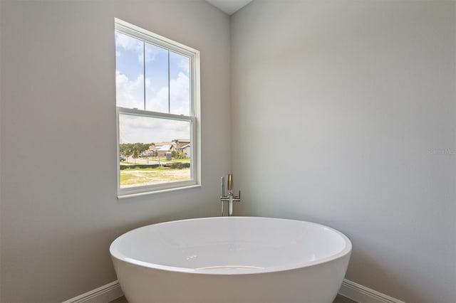 14523 Swiss Bridge Dr, Lithia, FL 33547 - bathroom featuring a freestanding tub