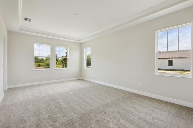 14523 Swiss Bridge Dr, Lithia, FL 33547 - spare room with a tray ceiling and light carpet