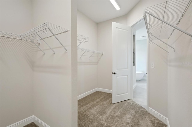 14523 Swiss Bridge Dr, Lithia, FL 33547 - spacious closet featuring carpet
