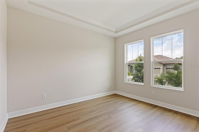 14523 Swiss Bridge Dr, Lithia, FL 33547 - empty room featuring light wood-style floors and a tray ceiling
