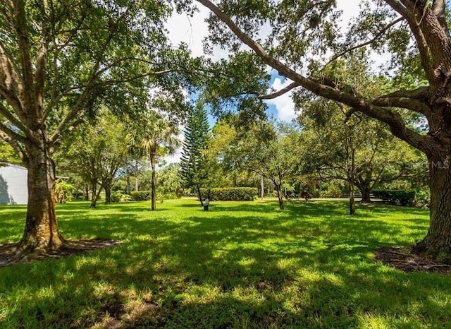 6206 92nd Pl N Unit 3605, Pinellas Park, FL 33782 - view of green lawn