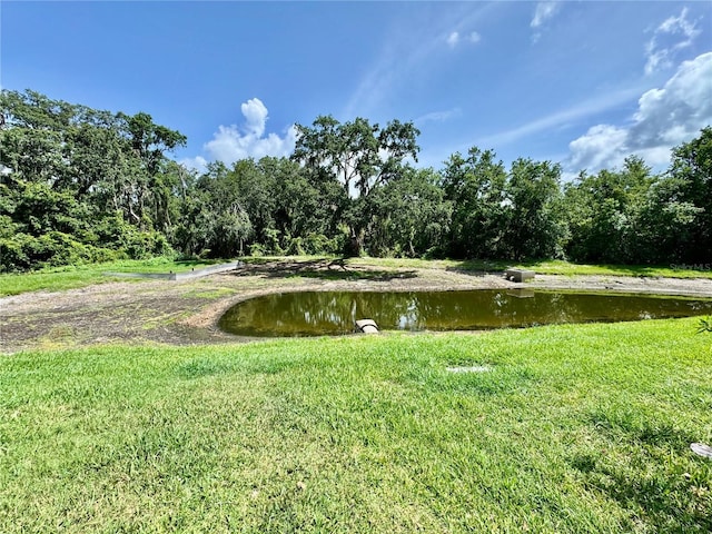 1878 Greenwood Valley Dr, Plant City, FL 33563 - photo 19