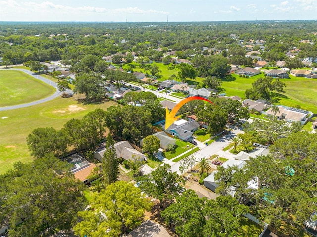 310 Arbor Dr E, Palm Harbor, FL 34683 - photo 2