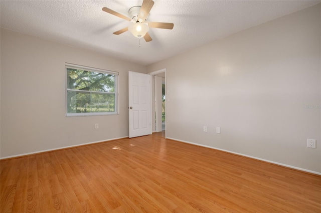 310 Arbor Dr E, Palm Harbor, FL 34683 - photo 16