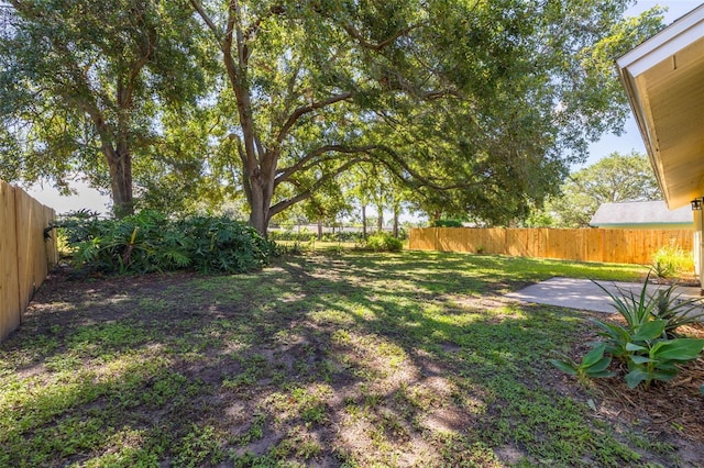 310 Arbor Dr E, Palm Harbor, FL 34683 - photo 27