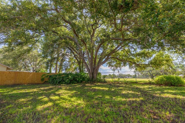 310 Arbor Dr E, Palm Harbor, FL 34683 - photo 28