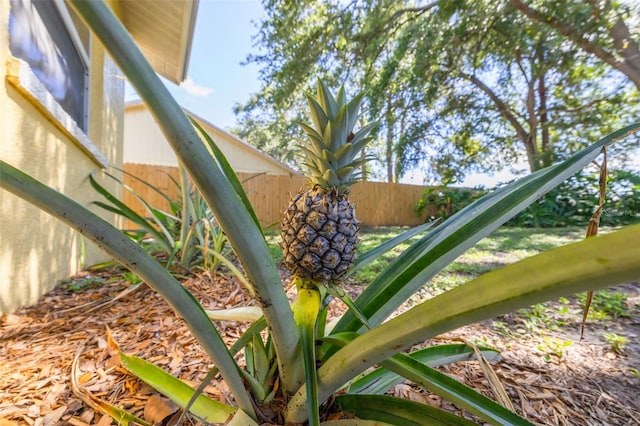 310 Arbor Dr E, Palm Harbor, FL 34683 - photo 31