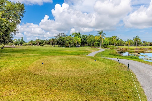 2621 Cove Cay Dr Unit 309, Clearwater, FL 33760 - photo 46