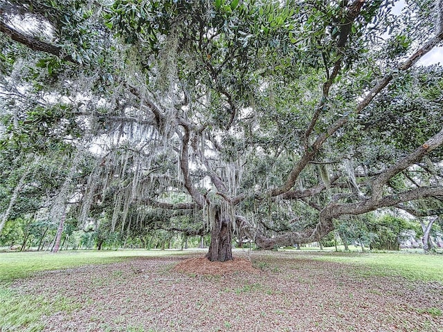 5007 Booth Rd, Plant City, FL 33565 - photo 5