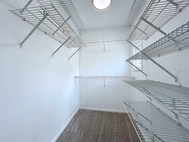 5007 Booth Rd, Plant City, FL 33565 - photo 51