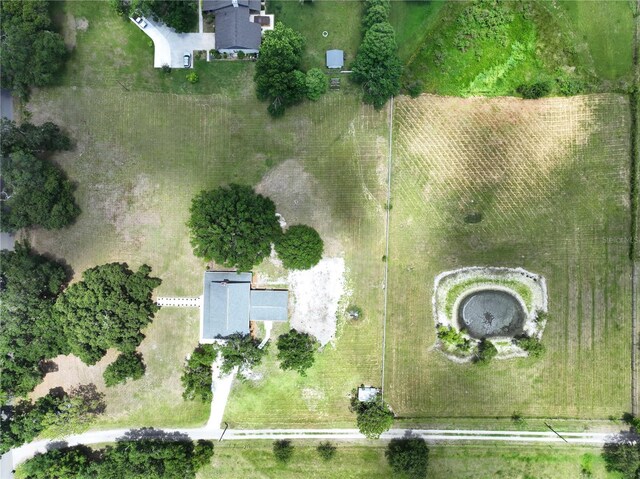 5007 Booth Rd, Plant City, FL 33565 - photo 59