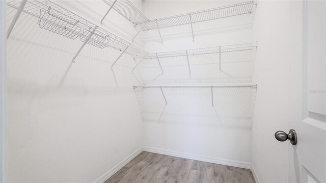 14424 59th Cir E, Bradenton, FL 34211 - spacious closet with light wood-type flooring