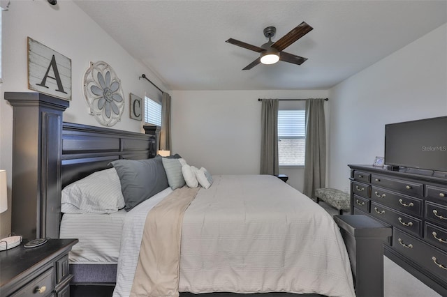 314 Blackrock Ln, Apollo Beach, FL 33572 - bedroom featuring multiple windows and ceiling fan