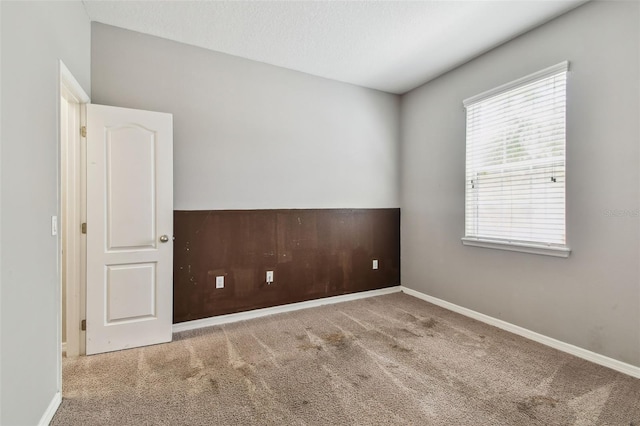 11541 Tangle Branch Ln, Gibsonton, FL 33534 - unfurnished room featuring carpet floors