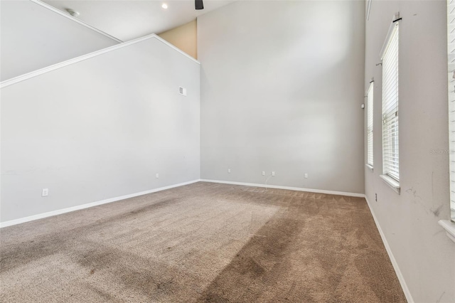 11541 Tangle Branch Ln, Gibsonton, FL 33534 - carpeted empty room with a towering ceiling