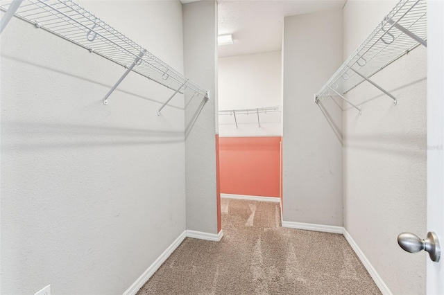 11541 Tangle Branch Ln, Gibsonton, FL 33534 - walk in closet with carpet
