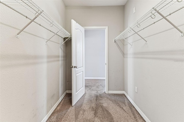 11541 Tangle Branch Ln, Gibsonton, FL 33534 - walk in closet with carpet flooring
