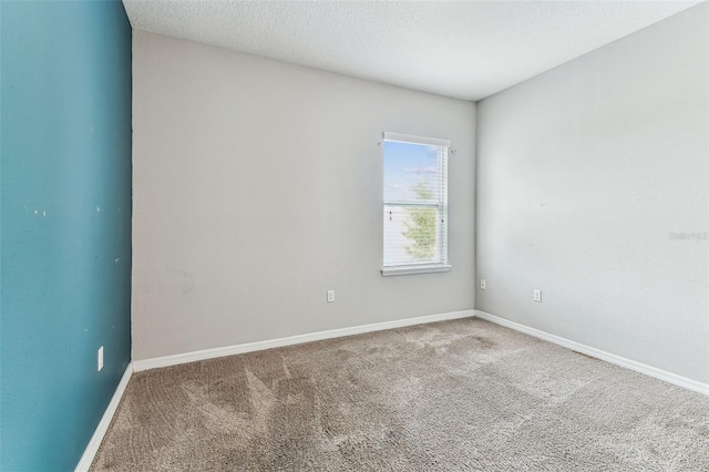 11541 Tangle Branch Ln, Gibsonton, FL 33534 - carpeted empty room with baseboards