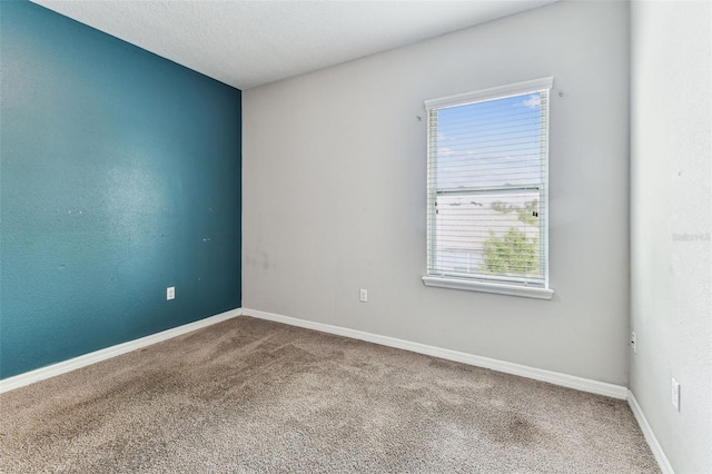 11541 Tangle Branch Ln, Gibsonton, FL 33534 - carpeted spare room featuring healthy amount of natural light