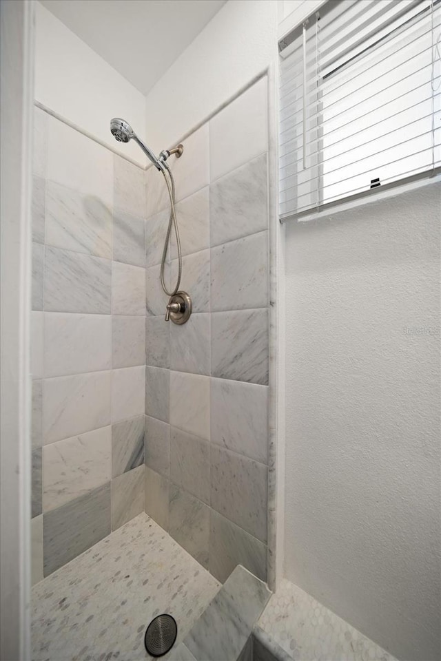 202 Howard Dr, Belleair Beach, FL 33786 - photo 32
