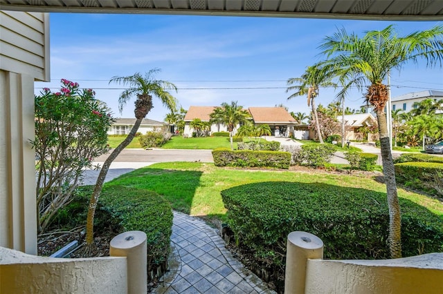 413 Midway Is, Clearwater Beach, FL 33767 - view of grassy yard with a residential view