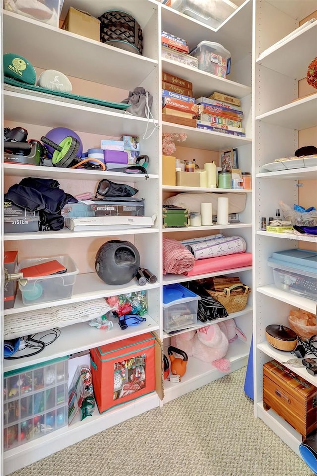 5518 Luminar Pointe Ln, Apollo Beach, FL 33572 - view of storage area