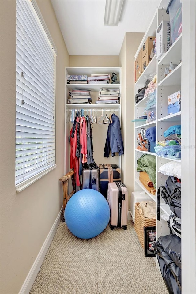5518 Luminar Pointe Ln, Apollo Beach, FL 33572 - spacious closet featuring carpet floors