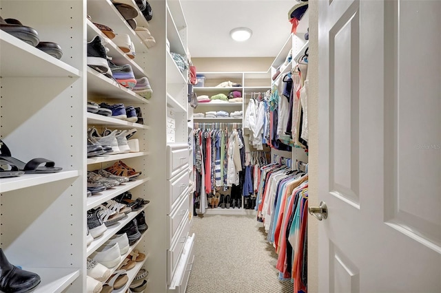 5518 Luminar Pointe Ln, Apollo Beach, FL 33572 - walk in closet with light carpet