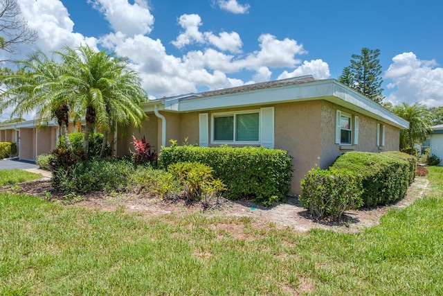 1510 Palmer Ct, Palm Harbor, FL 34685 - view of home's exterior featuring stucco siding and a yard
