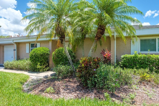 1510 Palmer Ct, Palm Harbor, FL 34685 - view of side of property featuring stucco siding and a garage