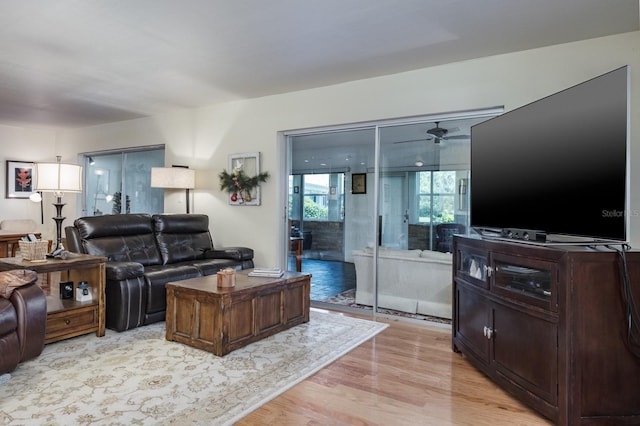 1510 Palmer Ct, Palm Harbor, FL 34685 - living area with light wood-style floors and ceiling fan