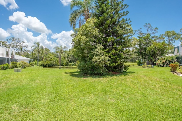 1510 Palmer Ct, Palm Harbor, FL 34685 - view of green lawn