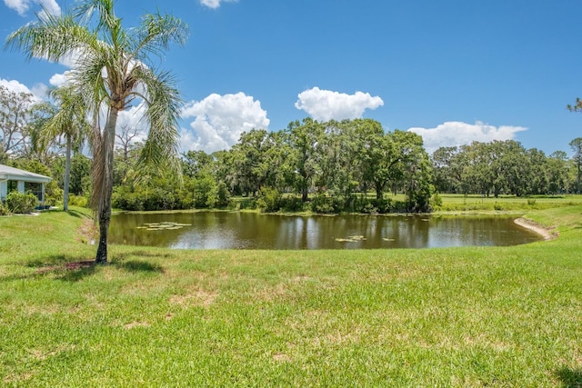 1510 Palmer Ct, Palm Harbor, FL 34685 - water view