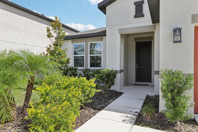 13515 Palmera Vista Dr, Riverview, FL 33579 - view of exterior entry with stucco siding