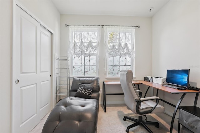 13515 Palmera Vista Dr, Riverview, FL 33579 - carpeted office space featuring baseboards