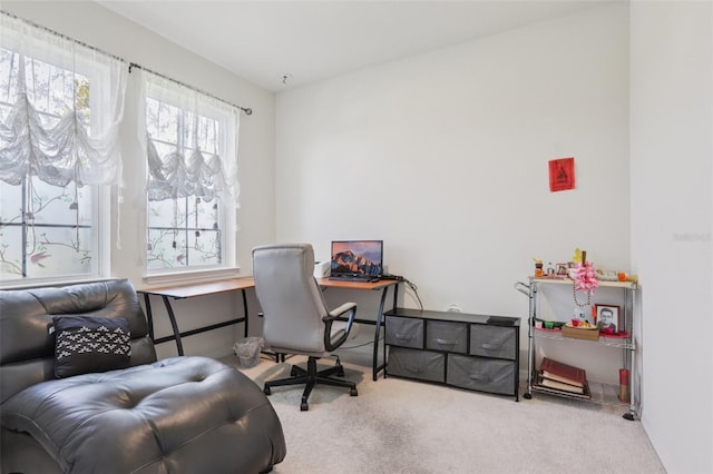13515 Palmera Vista Dr, Riverview, FL 33579 - view of carpeted office space