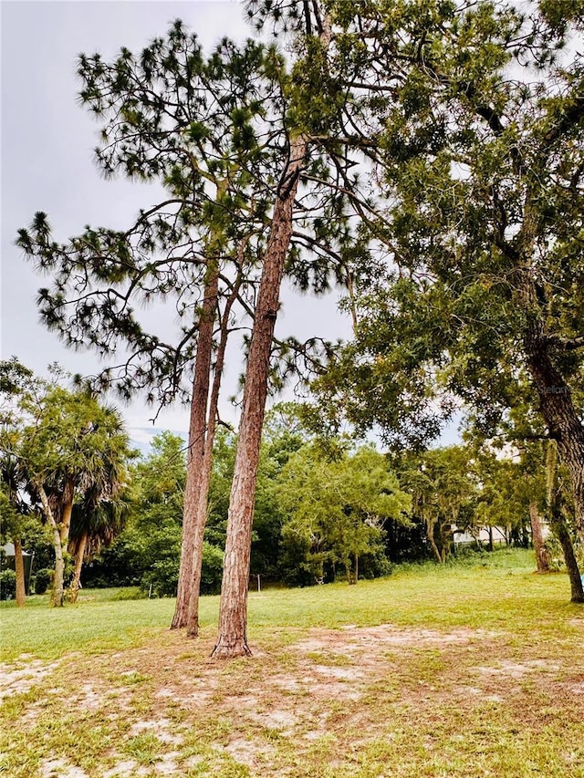 13186 Thrush St, Spring Hill, FL 34609 - view of grassy yard