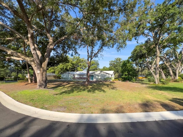 4404 Hickory Branch Ct, Brandon, FL 33511 - view of property hidden behind natural elements with a front yard
