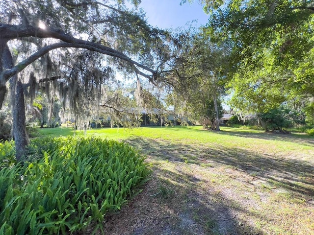 4404 Hickory Branch Ct, Brandon, FL 33511 - view of green lawn