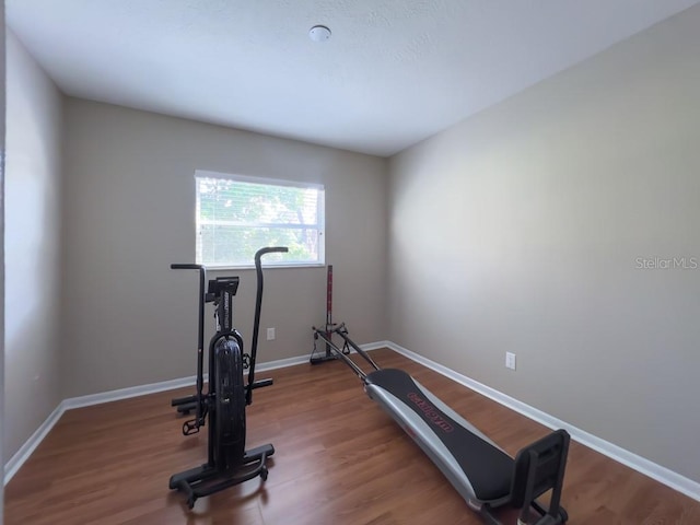 4404 Hickory Branch Ct, Brandon, FL 33511 - exercise room with wood finished floors and baseboards