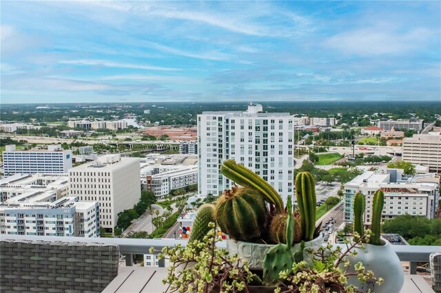 777 N Ashley Dr Unit 2513, Tampa, FL 33602 - photo 26