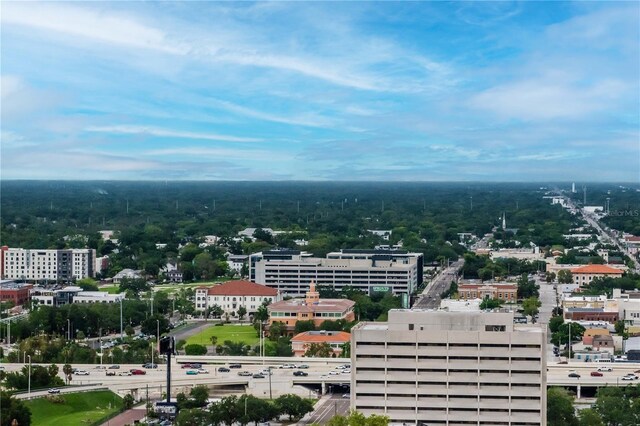 777 N Ashley Dr Unit 2513, Tampa, FL 33602 - photo 70